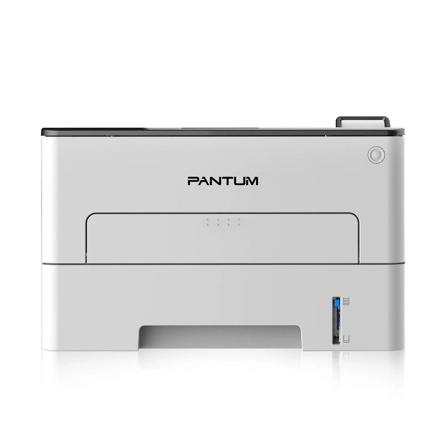 Pantum L2300DW